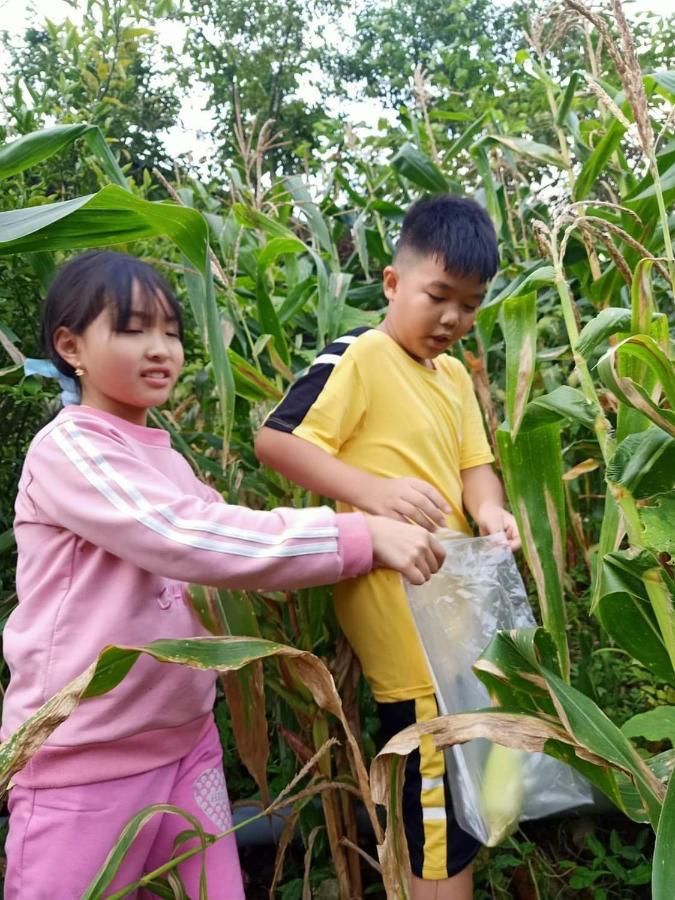 Sakura Homestay Sapa Eksteriør billede